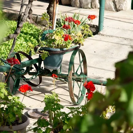 Casa vacanze Vacation Bobijevi Dvori