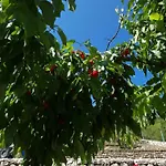 Vacation Bobijevi Dvori Дом отдыха