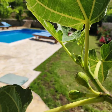 Vakantiehuis Vacation Bobijevi Dvori *