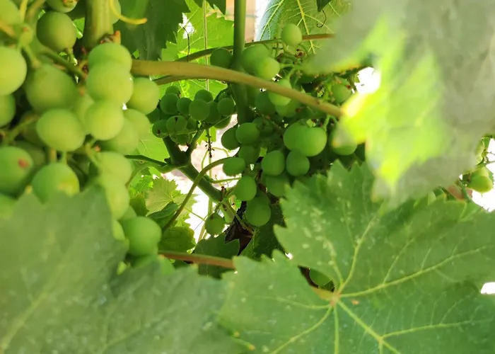 Feriehus Vacation Bobijevi Dvori