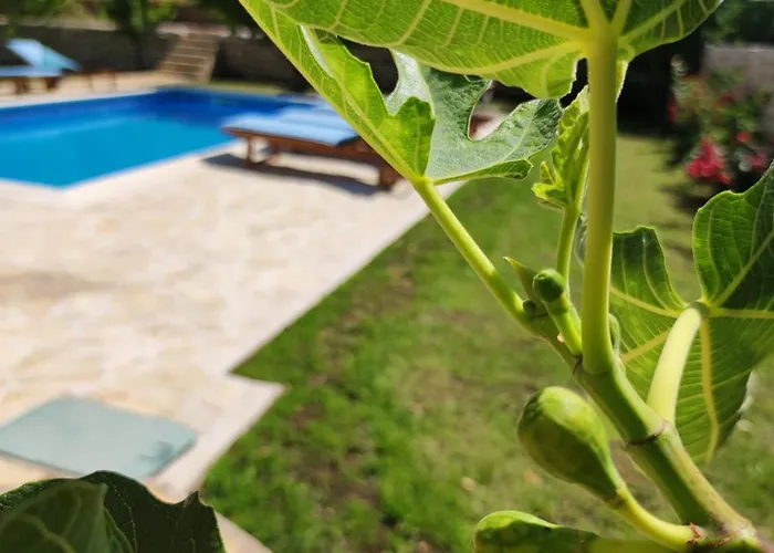 Feriehus Vacation Bobijevi Dvori *