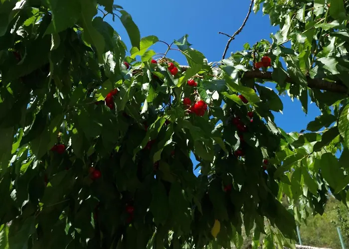 Vacation Bobijevi Dvori Holiday home